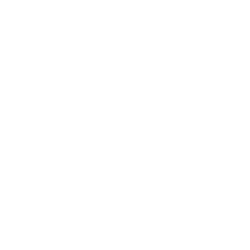 ZapWA Logo